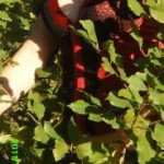 Sexy-Nadja30 34 Jahre, aus Attnang-Puchheim