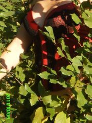 Sexy-Nadja30 34 Jahre, aus Attnang-Puchheim