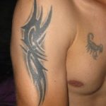scorpimike73_2017 44 Jahre, aus Pettenbach