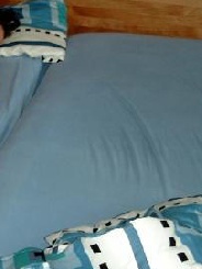 Axxia 38 Jahre, aus Niederlenz
