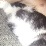 D1987yl 31 Jahre, aus Frohnleiten
